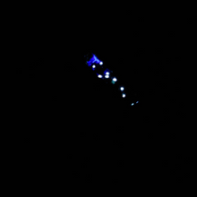Load image into Gallery viewer, The Constellation Memorial Ring