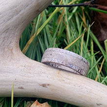 Load image into Gallery viewer, The &quot;Antler &amp; Love&quot; - Naturally Shed Deer Antler Ring with Cremated Ashes
