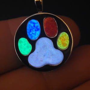 Rainbow Bridge Paw Print Memorial Pendant