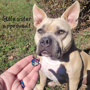 Rainbow Bridge Paw Print Memorial Pendant